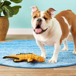 Tuffy's Desert Gila Monster Squeaky Plush Dog Toy -PetSafe Kong Shop 94078 PT3. AC SS1800 V1589561187