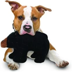 Tuffy's Zoo Bear Plush Dog Toy 7 Tuffy's Zoo Bear Plush Dog Toy -PetSafe Kong Shop 94082 PT2. AC SS1800 V1589561217
