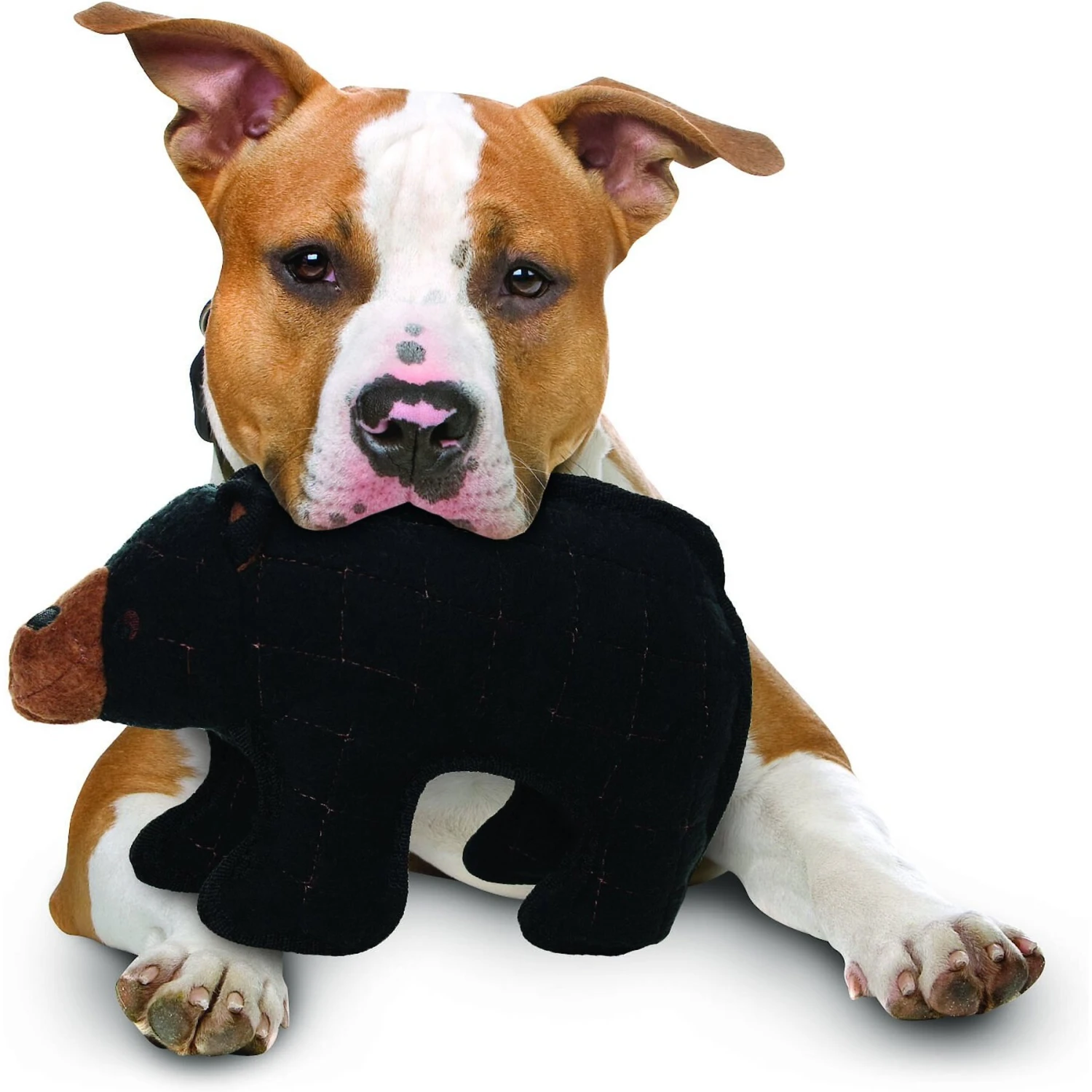 Tuffy's Zoo Bear Plush Dog Toy 3 Tuffy's Zoo Bear Plush Dog Toy - Image 3