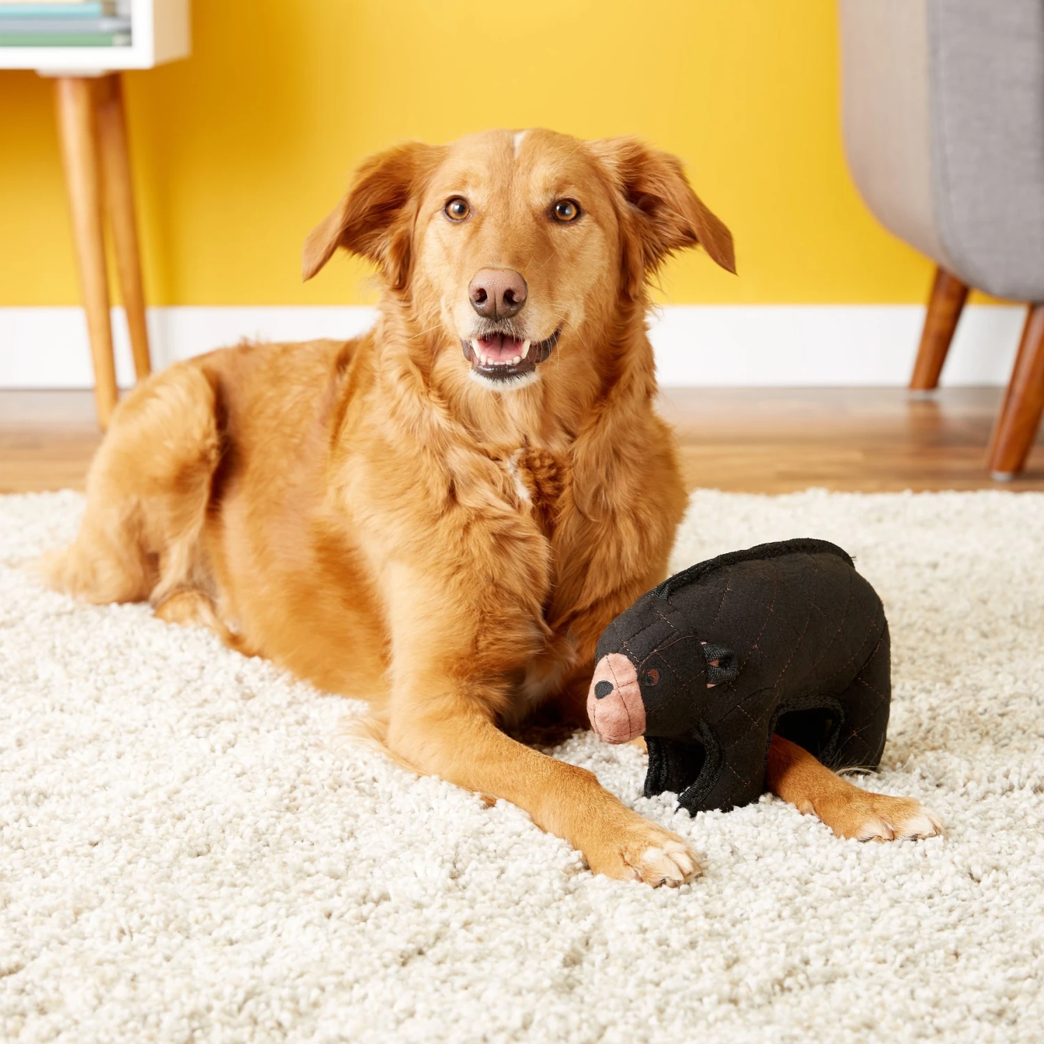 Tuffy's Zoo Bear Plush Dog Toy 4 Tuffy's Zoo Bear Plush Dog Toy - Image 4