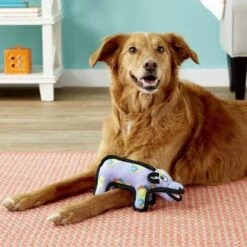 Tuffy's Zoo Hippo Hilda Plush Dog Toy -PetSafe Kong Shop 94090 PT3. AC SS1800 V1589561484