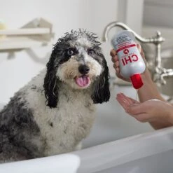 CHI Gentle 2 In1 Dog Shampoo & Conditioner & CHI Deodorizing Dog Spray 13 CHI Gentle 2 In1 Dog Shampoo & Conditioner & CHI Deodorizing Dog Spray -PetSafe Kong Shop 941630 PT4. AC SS1800 V1692796448