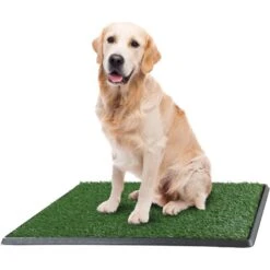 Pet Adobe Artificial Grass Replacement Mats, Large: 20 X 30-in, 3 Count -PetSafe Kong Shop 944518 PT2. AC SS1800 V1698262789