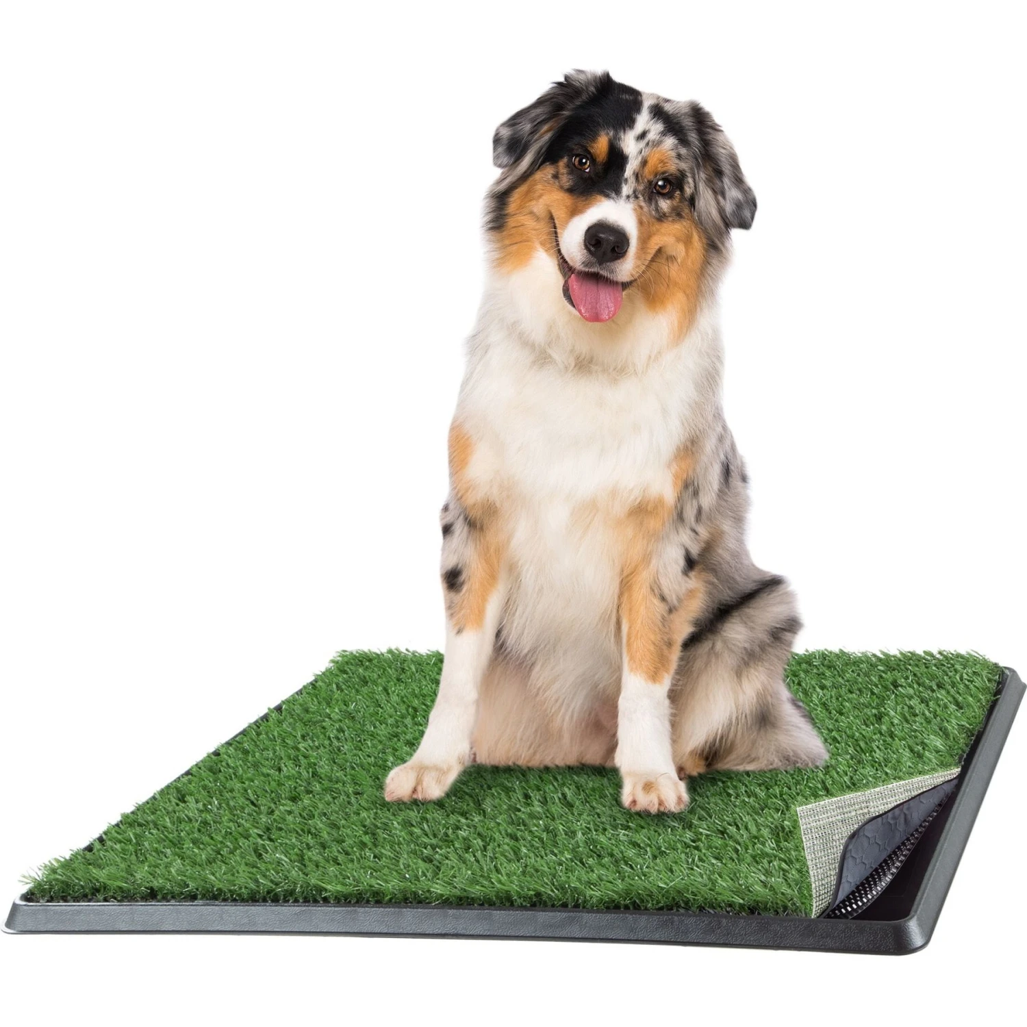 Pet Adobe Artificial Grass 4-Layer Potty Trainer Dog Mat 1 Pet Adobe Artificial Grass 4-Layer Potty Trainer Dog Mat