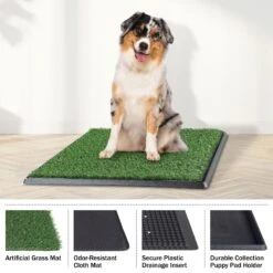 Pet Adobe Artificial Grass 4-Layer Potty Trainer Dog Mat 10 Pet Adobe Artificial Grass 4-Layer Potty Trainer Dog Mat -PetSafe Kong Shop 944558 PT4. AC SS1800 V1698262789