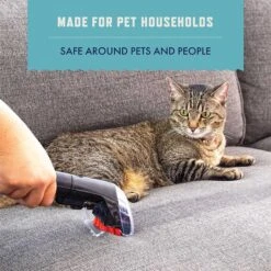 Rocco & Roxie Professional Strength Oxy Carpet Shampoo, 32-oz Bottle -PetSafe Kong Shop 944934 PT4. AC SS1800 V1696357997