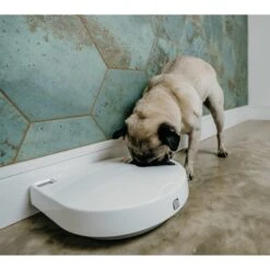 Cat Mate C500 Digital 5 Meal Automatic Dog & Cat Feeder & Cat Mate C500 Auto Feeder Replacement Ice Pack, 4 Count -PetSafe Kong Shop 947374 PT4. AC SS1800 V1693925143