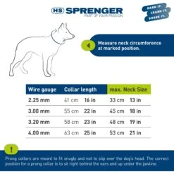 Herm Sprenger Ultra-Plus Training Dog Prong Collar & Herm Sprenger Ultra-Plus Prong Training Dog Collar Replacement Links, 3 Count -PetSafe Kong Shop 947582 PT2. AC SS1800 V1693921660