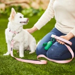 Frisco Padded Nylon No Pull Dog Harness & Frisco Traffic Leash With Padded Handles & Poop Bag Dispenser -PetSafe Kong Shop 947622 PT8. AC SS1800 V1693925031