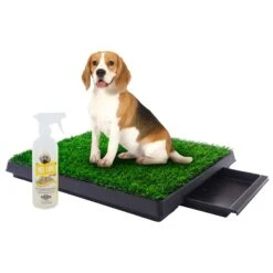 Coziwow By Jaxpety Indoor Grass Potty Dog Pee Turf With Drawer & PetSafe Pet Loo Wee Care Enzyme Cleaner