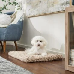 Frisco Double Door Furniture Style Dog Crate, Black & Frisco Swirl Dog Crate Mat -PetSafe Kong Shop 947710 PT5. AC SS1800 V1693921603