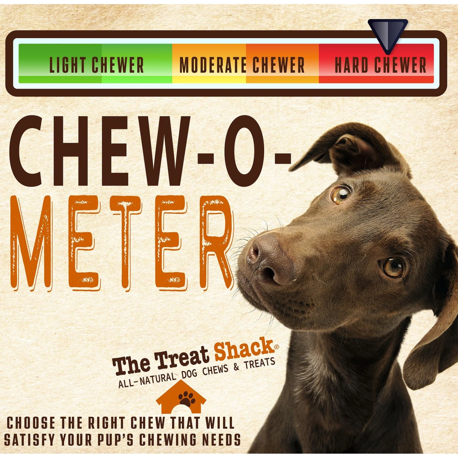 The Treat Shack Medium 4-5-in Himalayan Yak Cheese Chews Dog Treat 6 The Treat Shack Medium 4-5-in Himalayan Yak Cheese Chews Dog Treat - Image 6