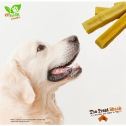 The Treat Shack Medium 4-5-in Himalayan Yak Cheese Chews Dog Treat 15 The Treat Shack Medium 4-5-in Himalayan Yak Cheese Chews Dog Treat -PetSafe Kong Shop 949190 PT6. AC SS1800 V1698423107