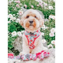 Sassy Woof Reversible Dog Harness, Floral Frenzy, Pink 6 Sassy Woof Reversible Dog Harness, Floral Frenzy, Pink -PetSafe Kong Shop 954918 PT2. AC SS1800 V1694119775