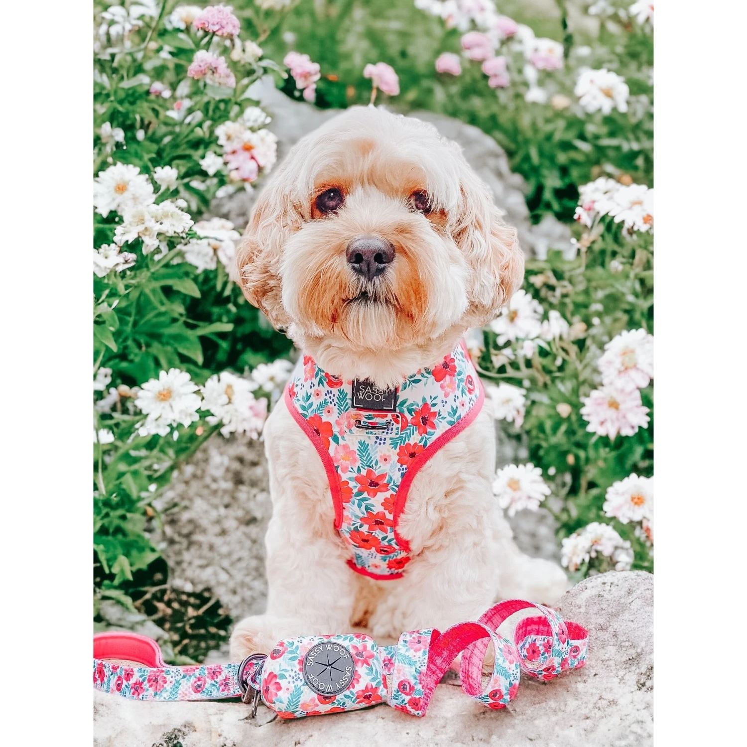 Sassy Woof Reversible Dog Harness, Floral Frenzy, Pink 3 Sassy Woof Reversible Dog Harness, Floral Frenzy, Pink - Image 3