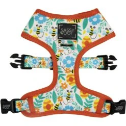 Sassy Woof Reversible Dog Harness, Must Be The Honey, Orange