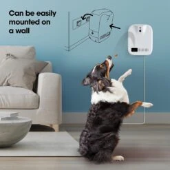 Closer Pets TreatView With Pet Camera Dog & Cat Treat Dispenser, White -PetSafe Kong Shop 959654 PT5. AC SS1800 V1694720228