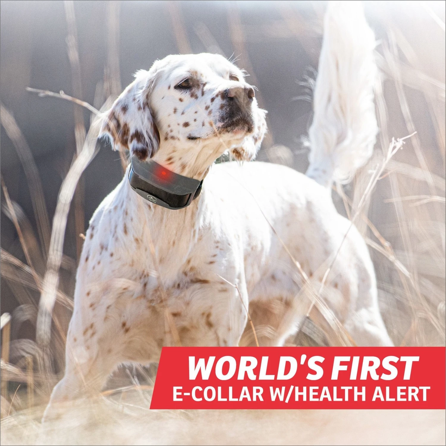 SportDOG FieldSentinel 1825 Remote Training Dog Collar, Black 2 SportDOG FieldSentinel 1825 Remote Training Dog Collar, Black - Image 2