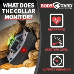 SportDOG FieldSentinel 1825 Remote Training Dog Collar, Black 9 SportDOG FieldSentinel 1825 Remote Training Dog Collar, Black -PetSafe Kong Shop 959734 PT2. AC SS1800 V1697029423