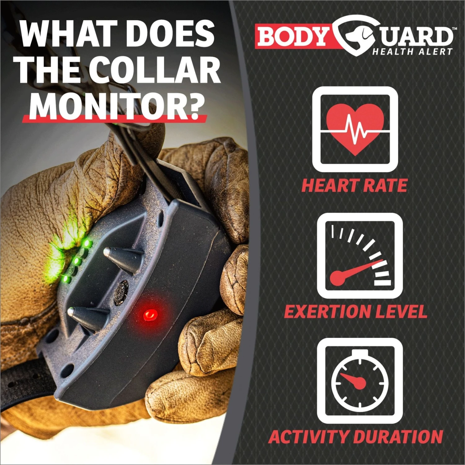 SportDOG FieldSentinel 1825 Remote Training Dog Collar, Black 3 SportDOG FieldSentinel 1825 Remote Training Dog Collar, Black - Image 3