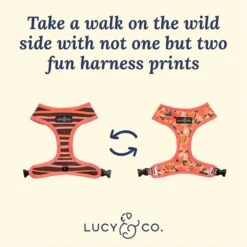 Lucy & Co. The Posy Pink Reversible Dog Harness, Pink -PetSafe Kong Shop 961414 PT2. AC SS1800 V1695746026