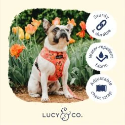 Lucy & Co. The Posy Pink Reversible Dog Harness, Pink -PetSafe Kong Shop 961414 PT3. AC SS1800 V1695746026