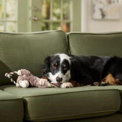 Frisco Monkey Plush With Rope Squeaky Dog Toy & Frisco Cow Plush With Inside Rope Squeaky Dog Toy -PetSafe Kong Shop 961998 PT4. AC SS1800 V1694784009