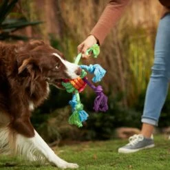 Frisco Fetch Colorful Ball Knot Rope Dog Toy & Frisco Monkey Plush With Rope Squeaky Dog Toy -PetSafe Kong Shop 962014 PT2. AC SS1800 V1694784008