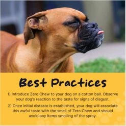 Healthy Pup Zero Chew Dog & Cat Deterrent Spray, 8-oz Bottle, 2 Count -PetSafe Kong Shop 969126 PT6. AC SS1800 V1696431534