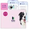 Koko Genetics Advanced DNA Test For Dogs