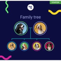 Koko Genetics Starter DNA Test For Dogs -PetSafe Kong Shop 970134 PT5. AC SS1800 V1700154976