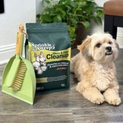 Sprinkle & Sweep Sweeper Kit Dustpan & Hand Broom Set -PetSafe Kong Shop 970670 PT4. AC SS1800 V1696944596