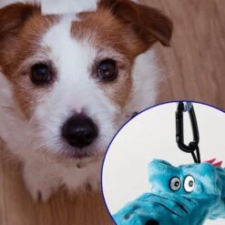 Pet Fit For Life Alligator Wand Dog Toy, Blue -PetSafe Kong Shop 970766 PT3. AC SS1800 V1696359636