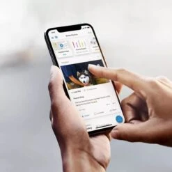 Ring Video Doorbell Outdoor WiFi Pet Camera -PetSafe Kong Shop 974334 PT4. AC SS1800 V1697117631