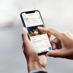 Ring Indoor Cam Pet Camera -PetSafe Kong Shop 974350 PT5. AC SS1800 V1697119076