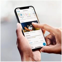 Ring Floodlight Cam Wired Plus Outdoor WiFi Pet Camera 9 Ring Floodlight Cam Wired Plus Outdoor WiFi Pet Camera -PetSafe Kong Shop 974430 PT4. AC SS1800 V1697117691