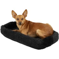 Pet Gear Bolster Pad For Happy Trails Lite No-Zip Pet Stroller, Black -PetSafe Kong Shop 97966 PT3. AC SS1800 V1567527530
