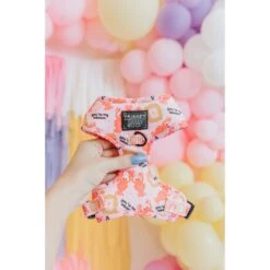 Sassy Woof Friends Dog Harness, Pink -PetSafe Kong Shop 980118 PT2. AC SS1800 V1698181799