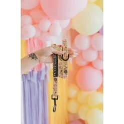 Sassy Woof Friends Dog Leash, 5-ft Long, 4/5-in Wide 7 Sassy Woof Friends Dog Leash, 5-ft Long, 4/5-in Wide -PetSafe Kong Shop 980238 PT3. AC SS1800 V1698181471