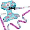 Sassy Woof On A Roll Dog Harness & Leash, Teal
