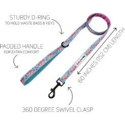 Sassy Woof On A Roll Dog Harness & Leash, Teal -PetSafe Kong Shop 980566 PT2. AC SS1800 V1698345446