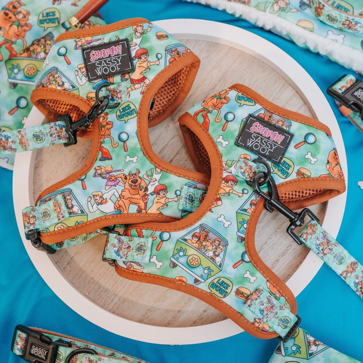 Sassy Woof Scooby-Doo Dog Harness, Teal 3 Sassy Woof Scooby-Doo Dog Harness, Teal - Image 3
