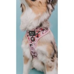 Sassy Woof Harley Quin Dog Harness, Pink -PetSafe Kong Shop 981894 PT2. AC SS1800 V1698343743