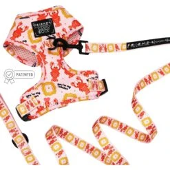 Sassy Woof Friends Dog Harness & Leash, Pink