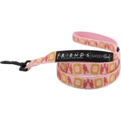 Sassy Woof Friends Dog Harness & Leash, Pink -PetSafe Kong Shop 981918 PT2. AC SS1800 V1698343802