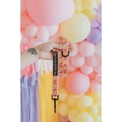 Sassy Woof Friends Dog Harness & Leash, Pink -PetSafe Kong Shop 981918 PT4. AC SS1800 V1698343403