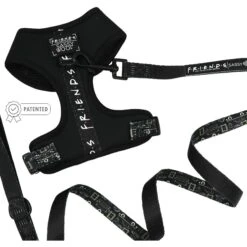 Sassy Woof Friends Dog Harness & Leash, Black