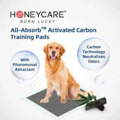 Honey Care All-Absorb Charcoal Carbon Eliminating Urine Odor Dog Training Pads, 22x23-in, 100 Count 7 Honey Care All-Absorb Charcoal Carbon Eliminating Urine Odor Dog Training Pads, 22x23-in, 100 Count -PetSafe Kong Shop 982918 PT3. AC SS1800 V1697727170