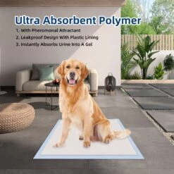 Honey Care All-Absorb Ultra Absorbent Odor Eliminating Quick-Dry Surface Dog Pads, 22x23-in, 14 Count -PetSafe Kong Shop 982982 PT3. AC SS1800 V1697711087