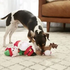 Frisco Holiday Santa's Helpers Plush Squeaky Dog Toy, 3 Count & Frisco Holiday Ho Ho Ho Fetch Squeaky Tennis Ball Dog Toy -PetSafe Kong Shop 986214 PT4. AC SS1800 V1698257790